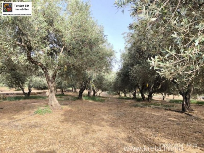 Timpaki Klima Kreta Timbaki außergewöhnliches Baugrundstück Meer- und Bergblick Grundstück kaufen